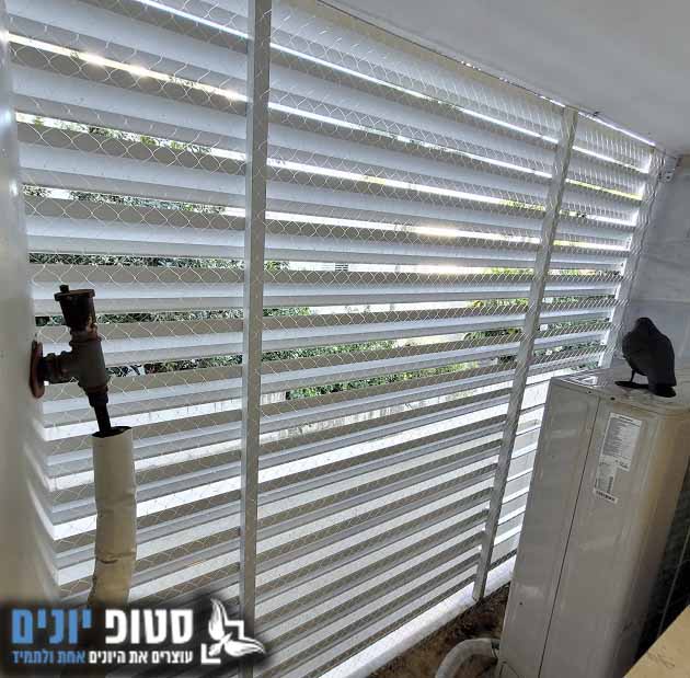 גירוש יונים ממסתור כביסה