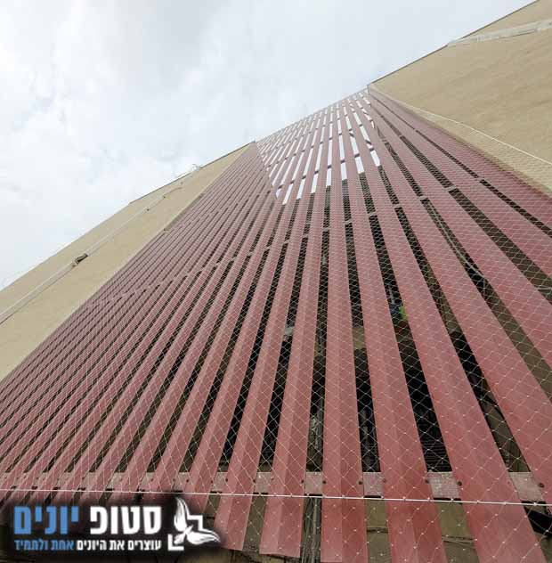 הרחקת יונים מבניין רב קומות
