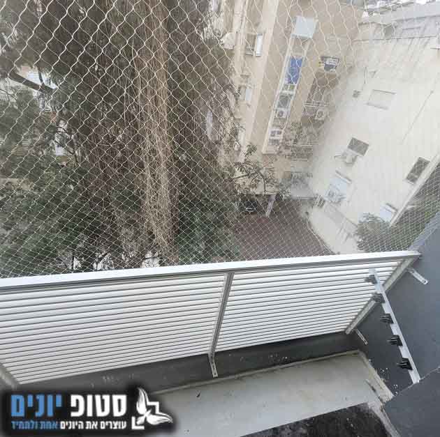 סילוק יונים לצמיתות