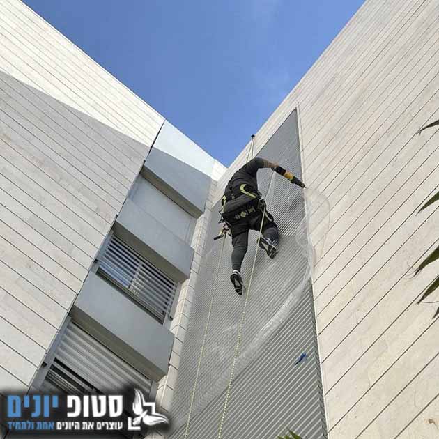 מרחיק יונים מבניין