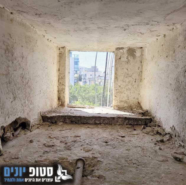 ניקוי בוידעם מצואת יונים