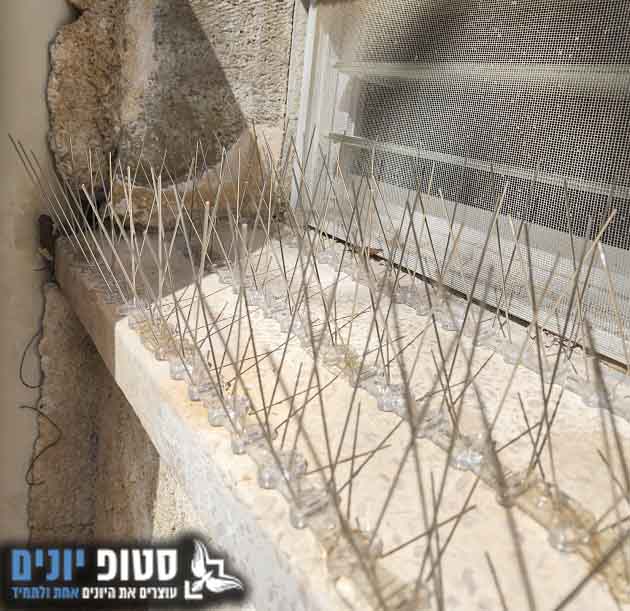 התקנת דוקרנים בחיפה בחלון