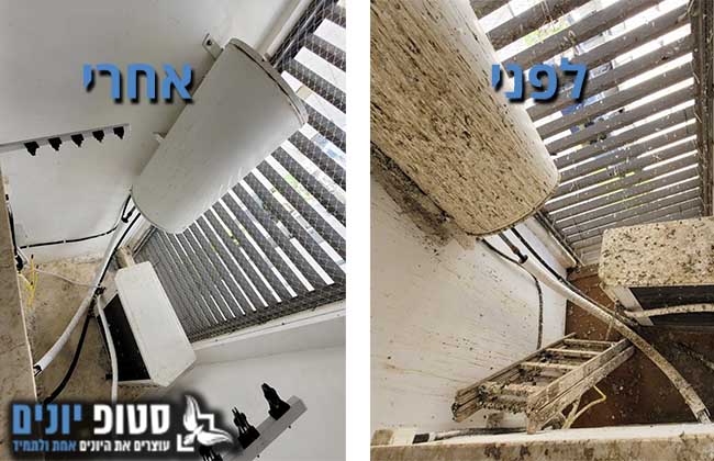 הרחקת יונים ממסתור כביסה בתל אביב כולל ניקוי