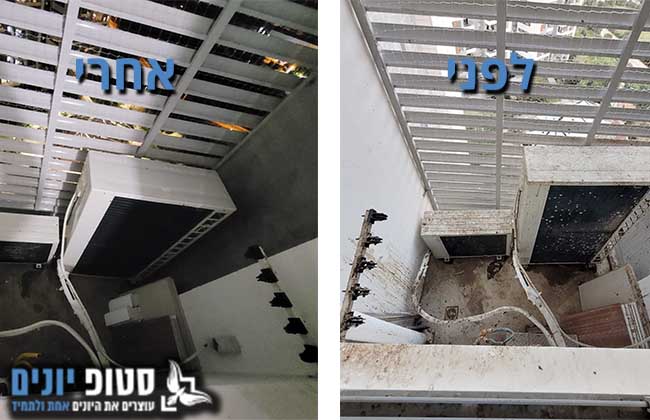 ניקוי לשלשלת והרחקת יונים ממסתור כביסה