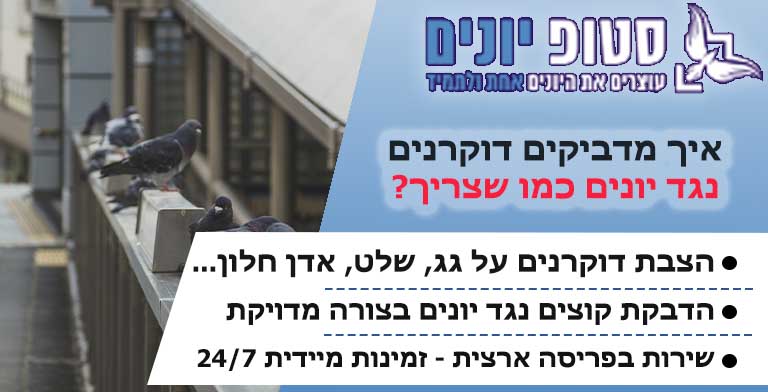 איך מדביקים דוקרנים נגד יונים
