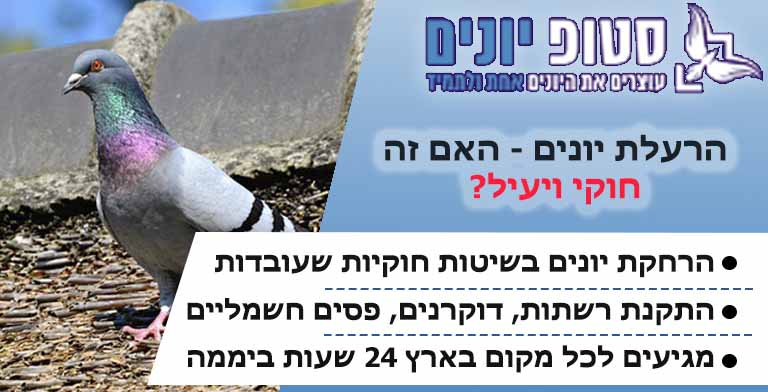 הרעלת יונים
