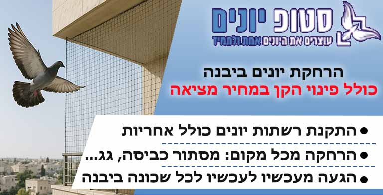 הרחקת יונים ביבנה