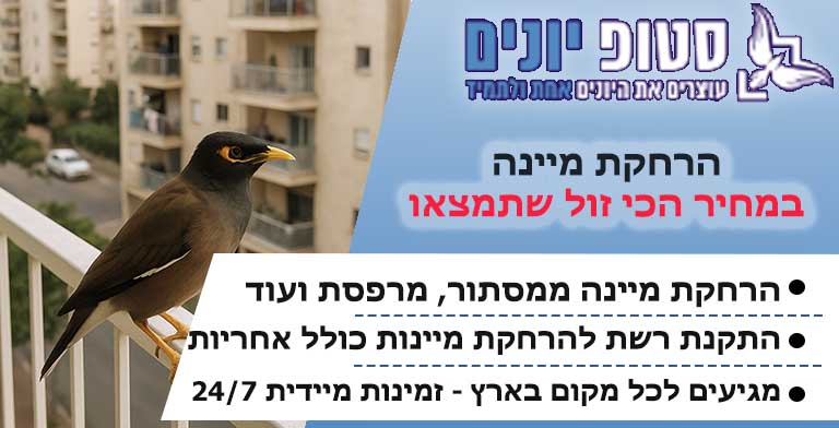 הרחקת מיינה