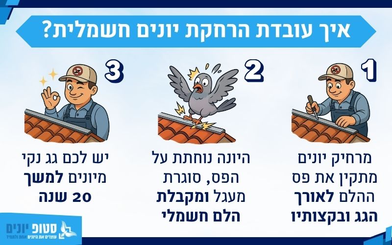 איך עובדת הרחקת יונים חשמלית