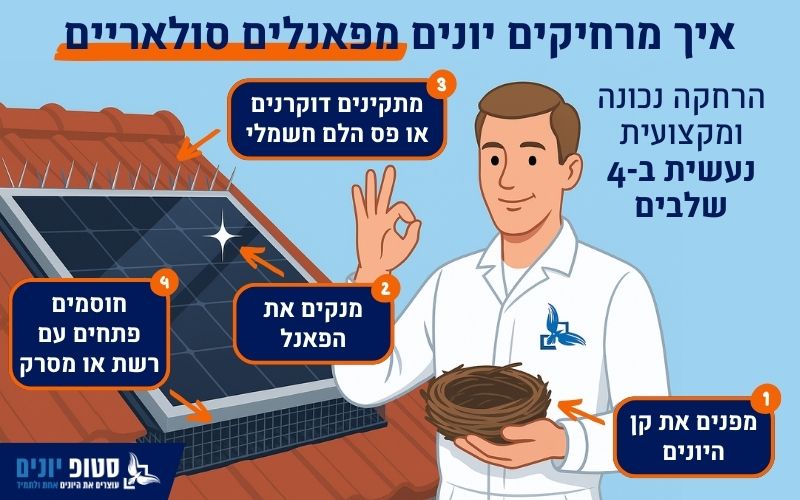 איך להרחיק יונים מפאנלים סולאריים