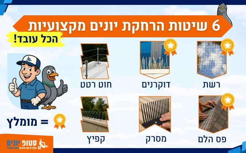 איך מרחיקים יונים