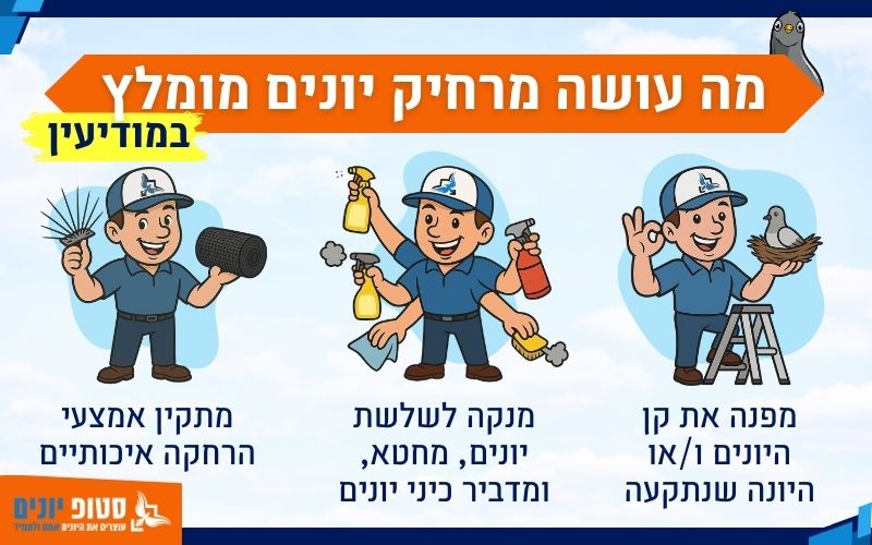 מה עושה מרחיק יונים מומלץ במודיעין