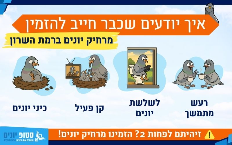 מתי להזמין מרחיק יונים ברמת השרון