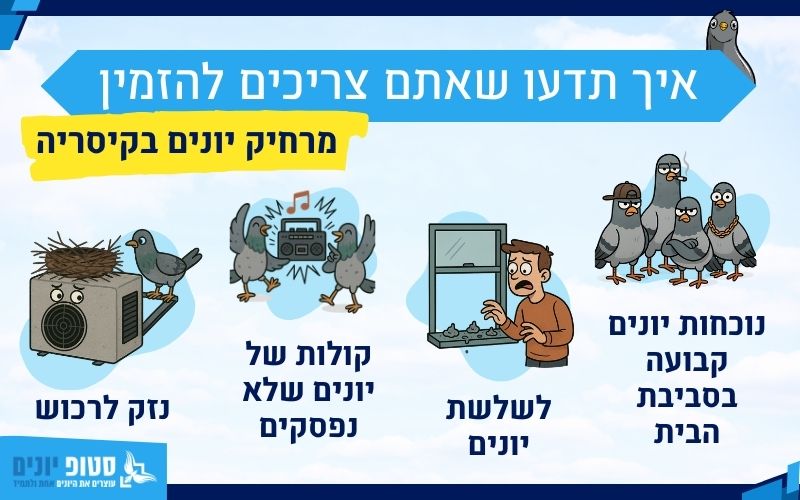 מתי להזמין מרחיק יונים בקיסריה