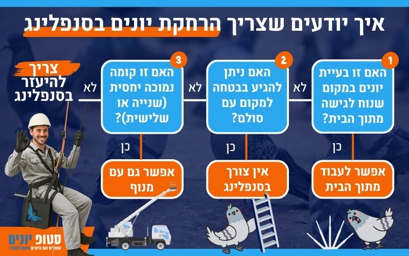 מתי צריך הרחקת יונים בסנפלינג