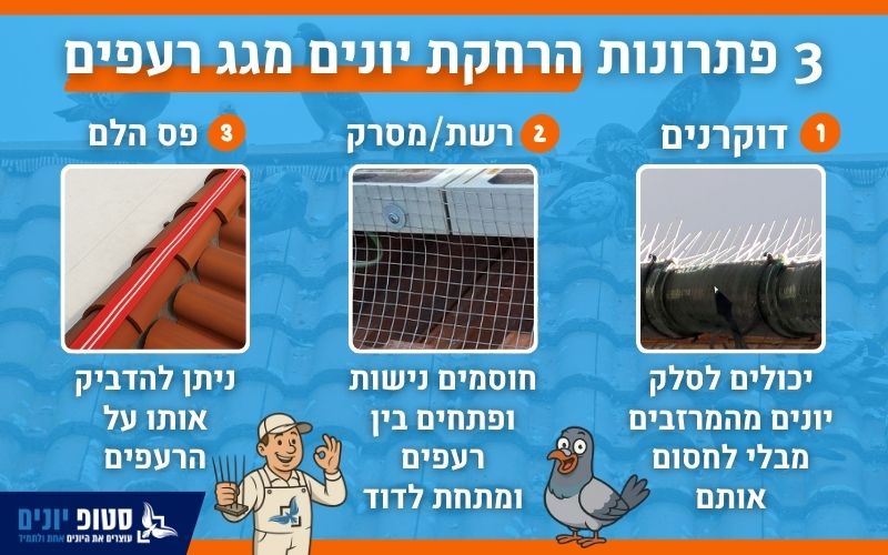 פתרונות להרחקת יונים מגג רעפים
