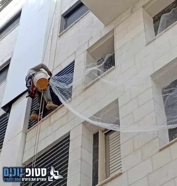 התקנת רשת יונים לבניין בקיסריה