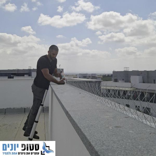 התקנת דוקרנים ליונים על גג של בניין