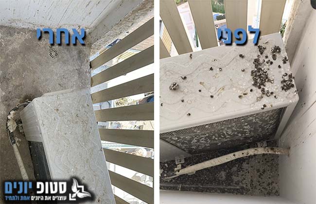 ניקוי מסתור כביסה מלשלשת יונים