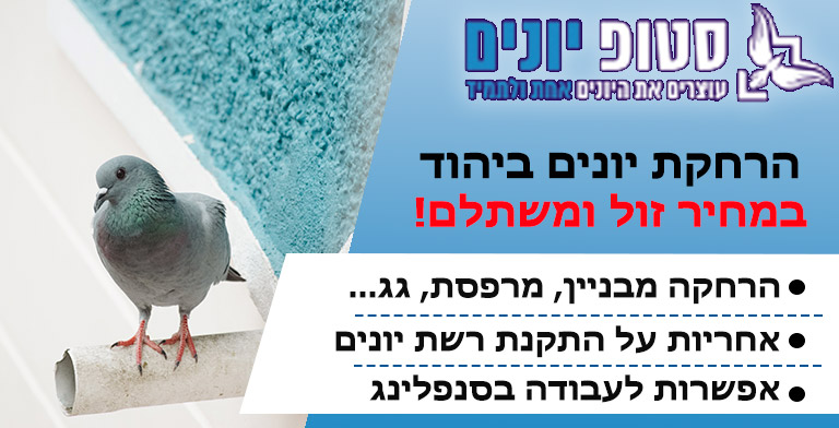 הרחקת יונים ביהוד