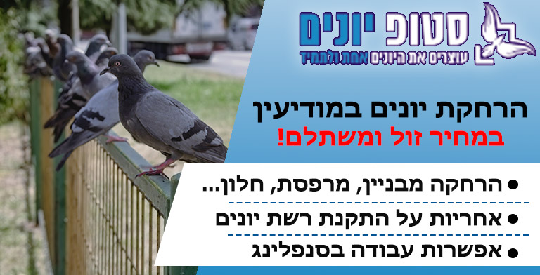 הרחקת יונים במודיעין