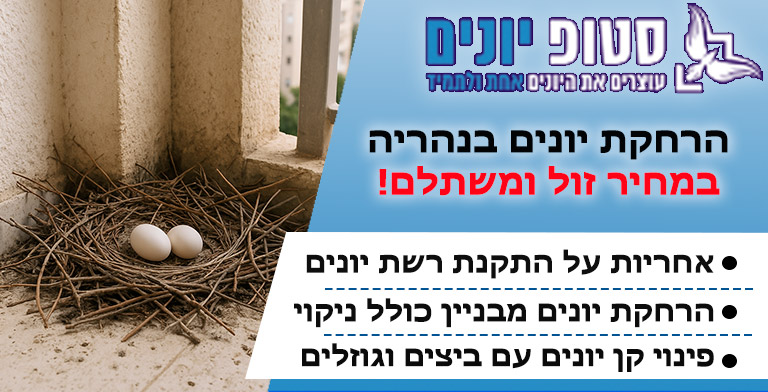 הרחקת יונים בנהריה