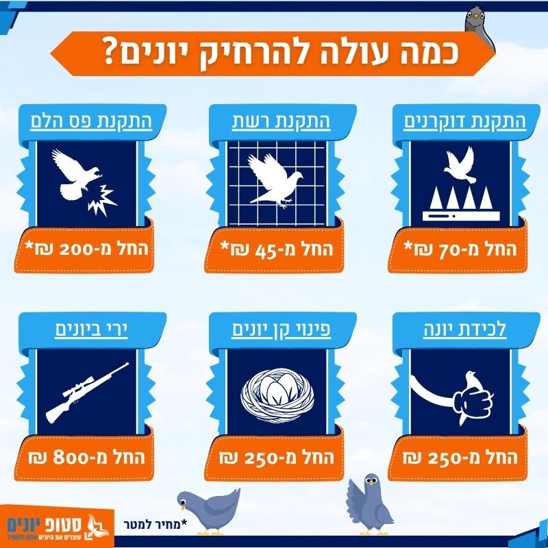 כמה עולה להרחיק יונים