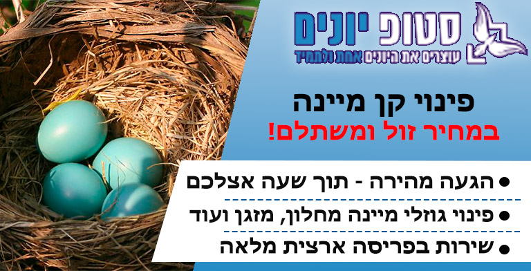 פינוי קן מיינה